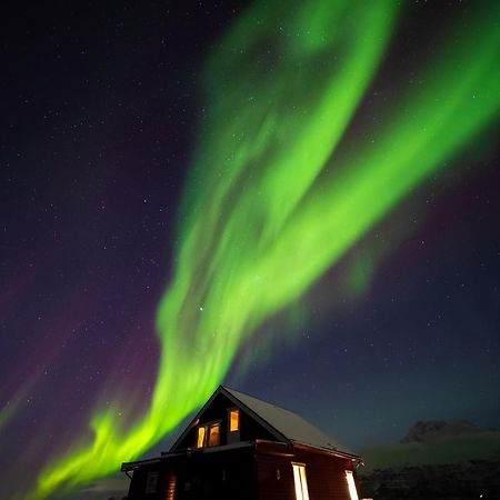 3Art Recreation Apartment Tromso Bagian luar foto