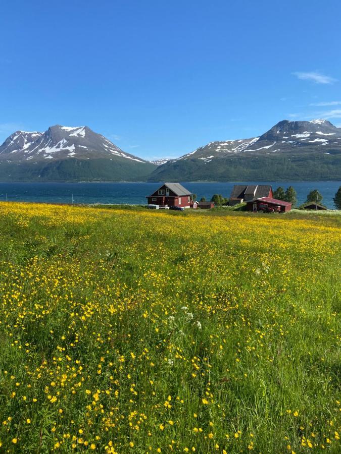 3Art Recreation Apartment Tromso Bagian luar foto