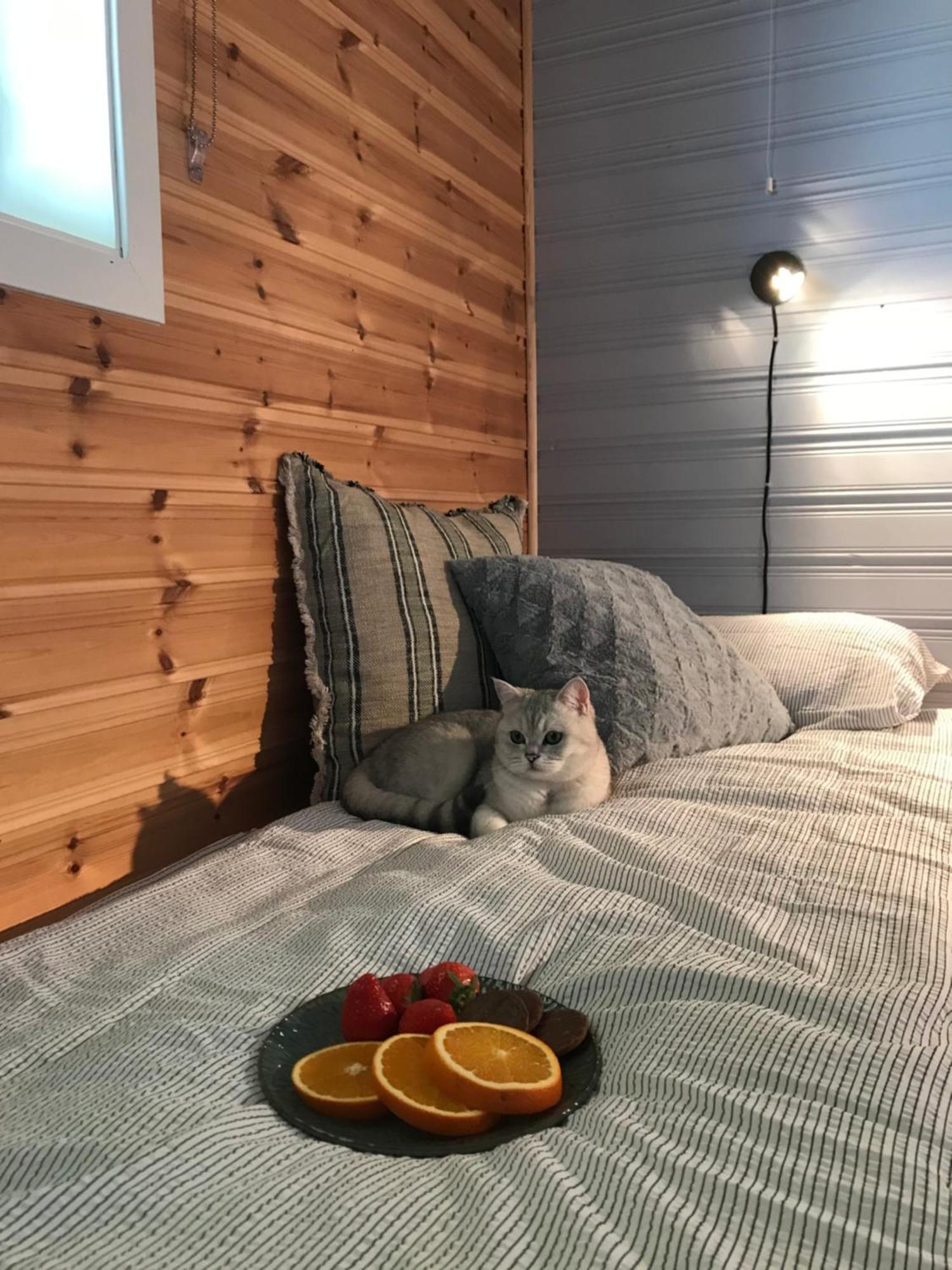 3Art Recreation Apartment Tromso Bagian luar foto