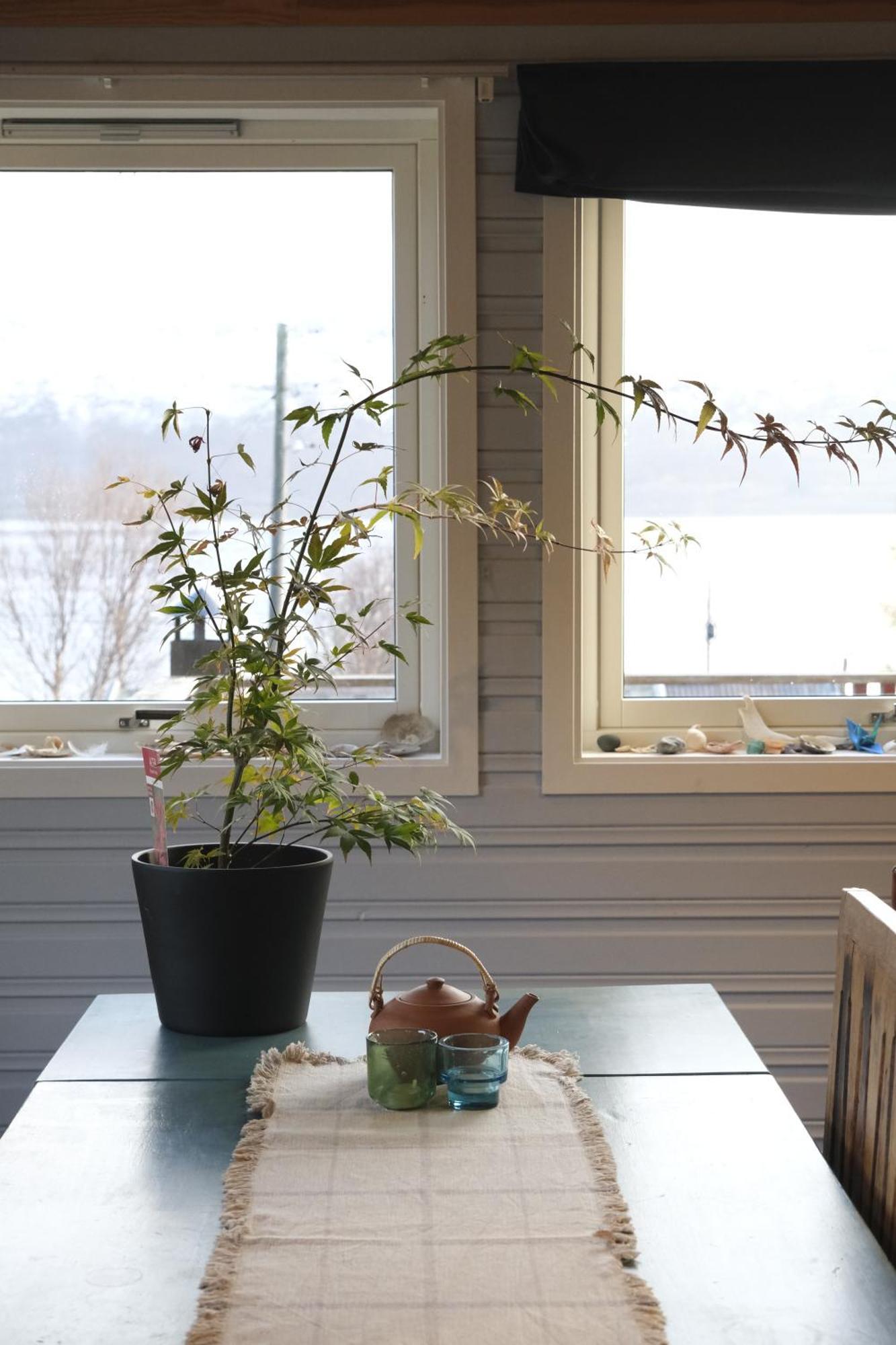 3Art Recreation Apartment Tromso Bagian luar foto
